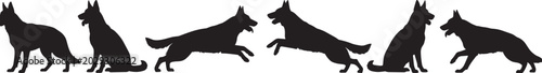 Fotografía Silhouette Collection of German Shepherd Dogs in Different Poses Representing Pe