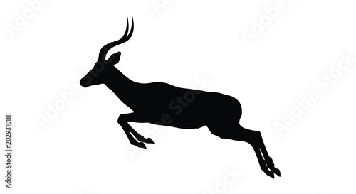 Bilde på lerret impala silhouette jumping on white background