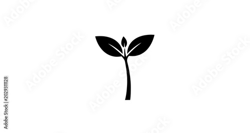 Fotografía Plant sprout silhouette on transparent background