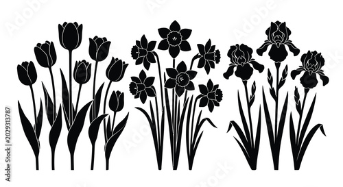 Floral silhouette collection with tulips daffodils and irises on white