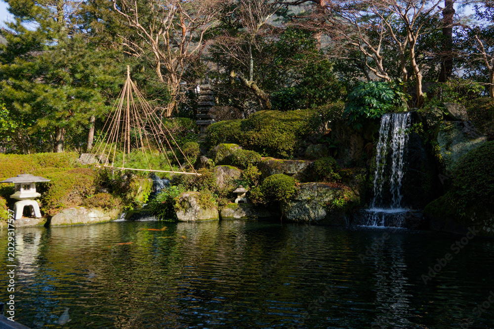 Fototapeta premium Japanese Garden