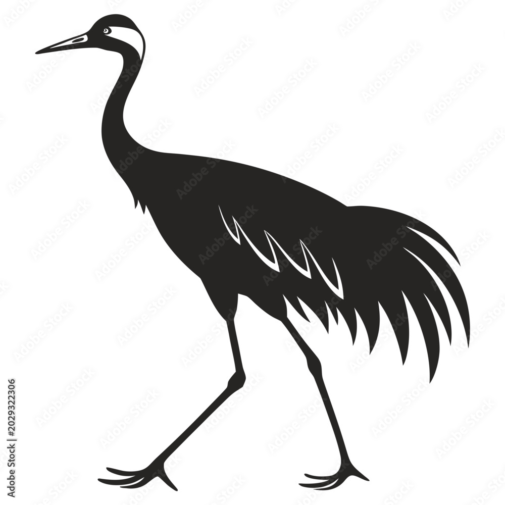 Fototapeta premium heron silhouette isolated on white