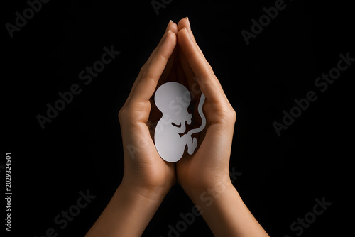 Pregnancy protection, hands holding fetus silhouette with care, unborn baby and maternal health concept, prenatal care, pregnancy support, childbirth, fertility, motherhood, family planning, reproduct