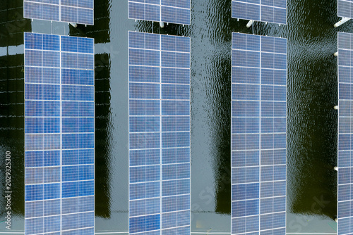 Fishery-Photovoltaic Complementary Solar Panel Array on Water Surface