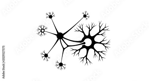 Tableau sur toile Neuron cell structure with dendrites.