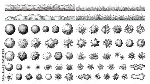 Foto Vintage landscape architecture symbols, hand drawn garden plan icons, black and