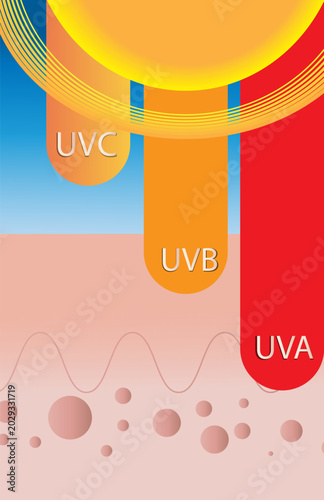 UV Radiation Penetrating Human Skin Layers Infographic Vector