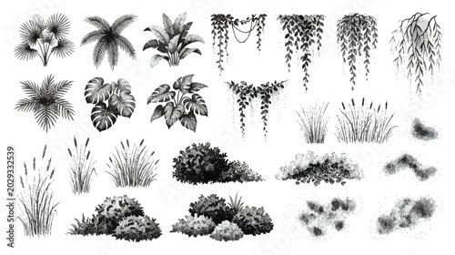 Bild auf Leinwand Vintage hand drawn tropical plants and garden bushes set, black ink botanical sk