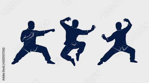 Fotografía Silhouette of a man performing dynamic kung fu jump and attack poses