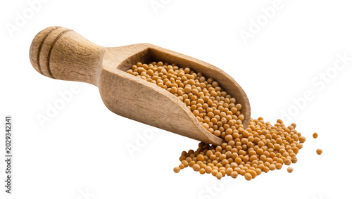 Obraz na plátně Wooden scoop filled with yellow mustard seeds spilling onto white surface