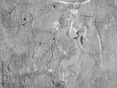 old wood texture