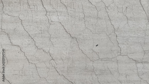 old wood texture