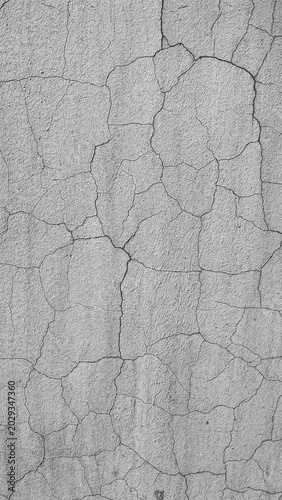 cracked earth texture