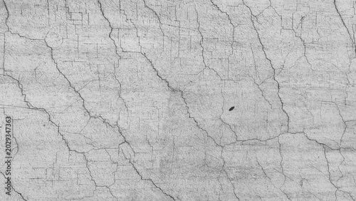 old wood texture