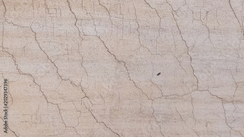 old wood texture