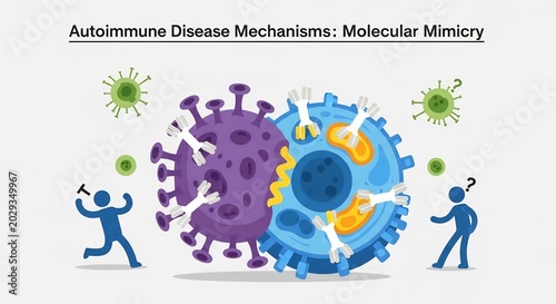 Autoimmune Disease Mechanisms: Molecular Mimicry Explained in Detail.