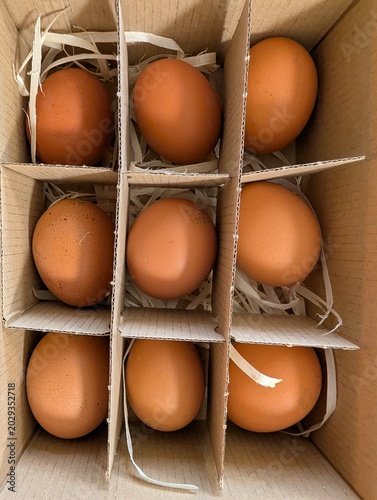 Natural brown eggs arranged in rustic cardboard packaging with shredded paper filling. Minimal organic food composition suitable for Easter concepts, farm product branding, healthy recipes, eco, bio