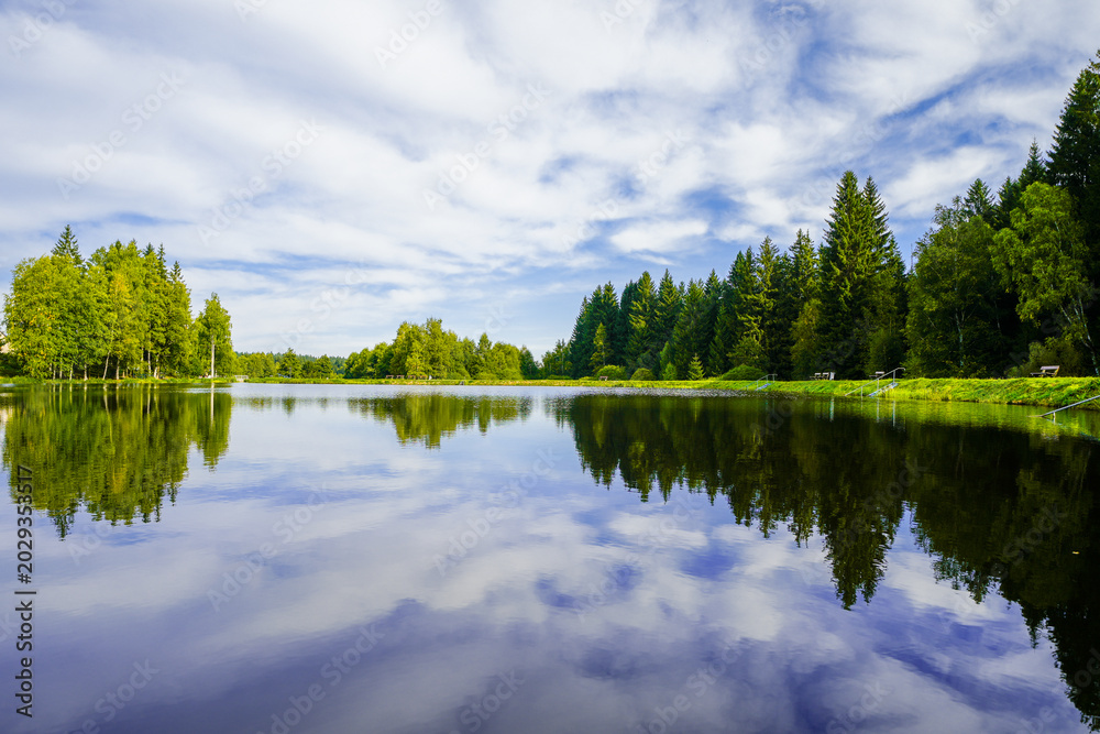 Fototapeta premium A view of the Unterer Floßgraben near Muldenhammer and the surrounding landscape. Idyllic nature by the lake near Muldenberg, in the Vogtland district of Saxony. 