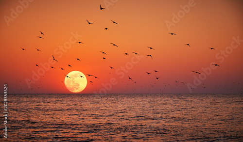 Fotografi Full moon rising over the sea at sunset with flying birds silhouettes against a