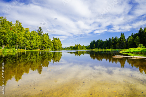 A view of the Unterer Floßgraben near Muldenhammer and the surrounding landscape. Idyllic nature by the lake near Muldenberg, in the Vogtland district of Saxony.
