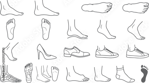 Canvas-taulu Human feet and shoes collection various views and styles footwear vector art