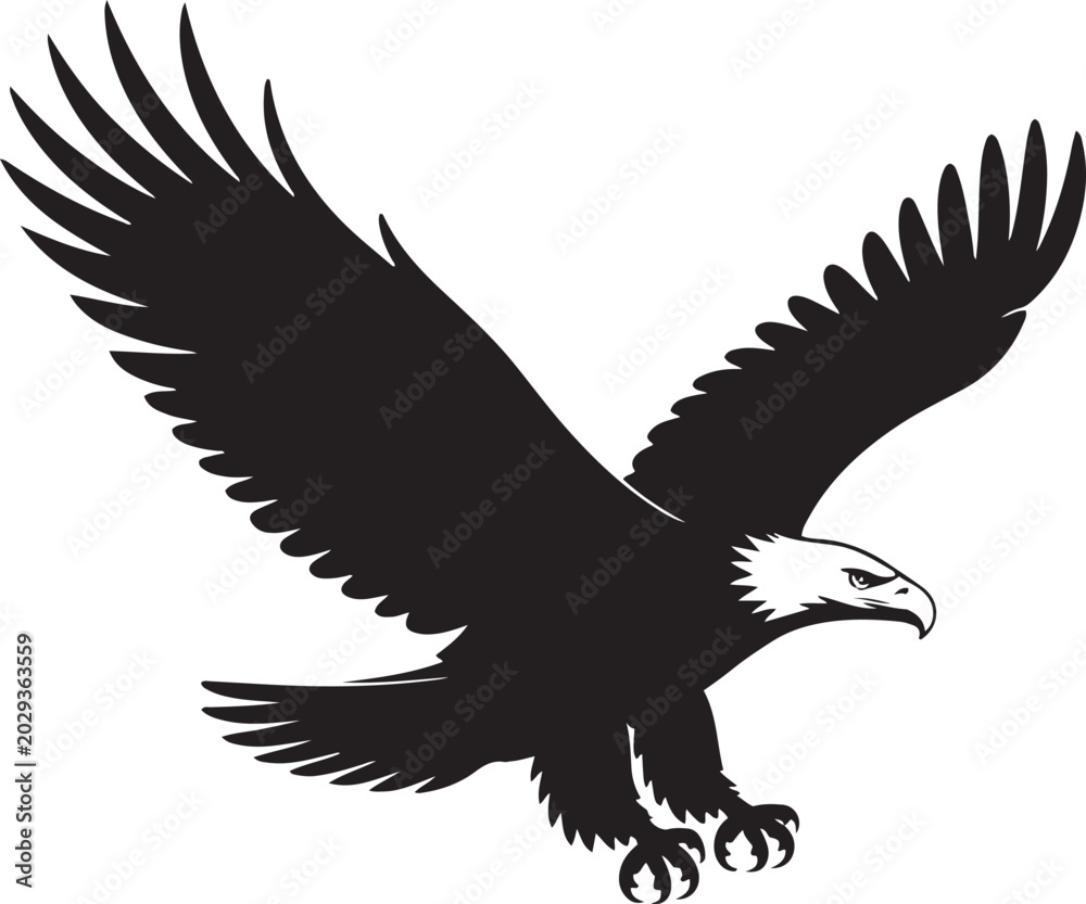 Fototapeta premium Flying bald eagle silhouette showing full wingspan and sharp talons.