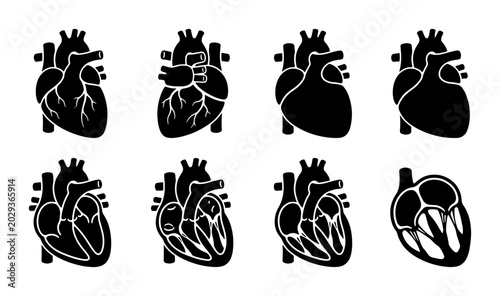 Photos Anatomical Heart Icons, Medical Vector Set, Cardiology Health Symbols, Black and