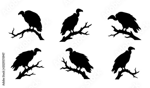 Foto Vulture Silhouettes on Branches, Bird Vector Icons Set, Wildlife Graphic Element