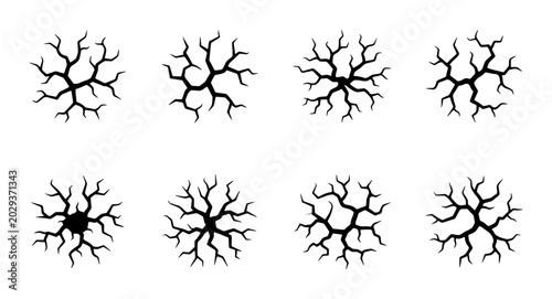 Foto Abstract Branching Tree Silhouettes, Organic Network Patterns, Minimalist Botani