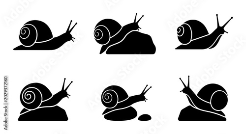 Tableau sur toile Snail Icons, Silhouette Vector Set: Slow Movement, Nature, Garden Critters, Simp