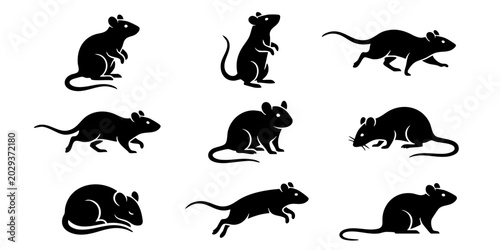 Foto Several black silhouettes of rats are running and standing on a white background