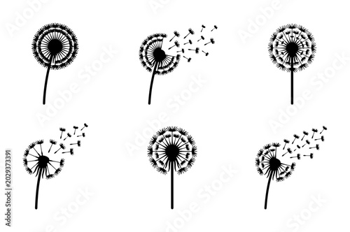 Tableau sur toile Dandelion Seed Head Vector Icons, Black Silhouette, Blowing in Wind, Nature Elem