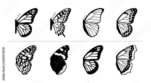 Foto Butterfly Wing Vector Illustrations, Delicate Insect Art, Nature Elements, Black