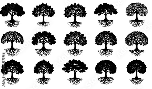 Tableau sur toile Detailed Tree Silhouette Vector Collection with Natural Forest and Botanical Des