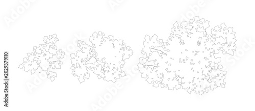 Photos Minimalist tree top view vector set, architectural landscape plan symbols, black