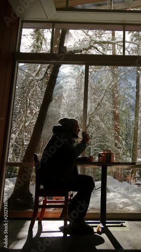 Silhouette of man sitting at cafe table drinking from cup while gazing through large windows at snow-covered trees and winter forest landscape with bright natural daylight streaming in