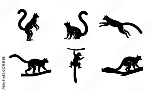 Photography Silhouette Lemur Icons, Primate Vector Graphics, Wild Animal Poses, Madagascar W