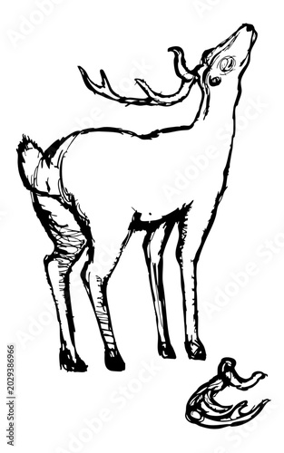 角のある鹿を描いたシンプルな手描き線画イラスト