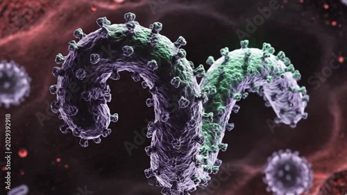 Extreme Close-Up of Ebola Virus Surface Glycosylation Patterns Global Pandemic Risk Immune Evasion Strategy High-magnification imaging reveals the carbohydrate shields covering Ebola glycoproteins. 