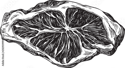 clean black and white vector style outline illustration of a flat flank steak with grain texture