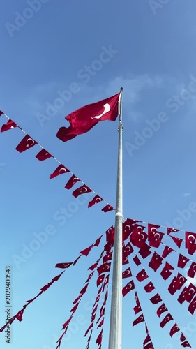 Turkish Flag Waving 