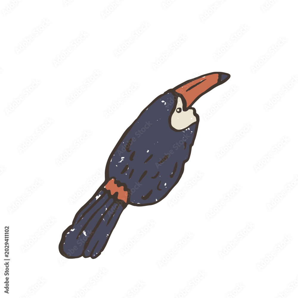 Obraz premium Textured vector illustration of isolated tropical toucan bird with bright orange beak. Hand drawn exotic wildlife sticker graphic