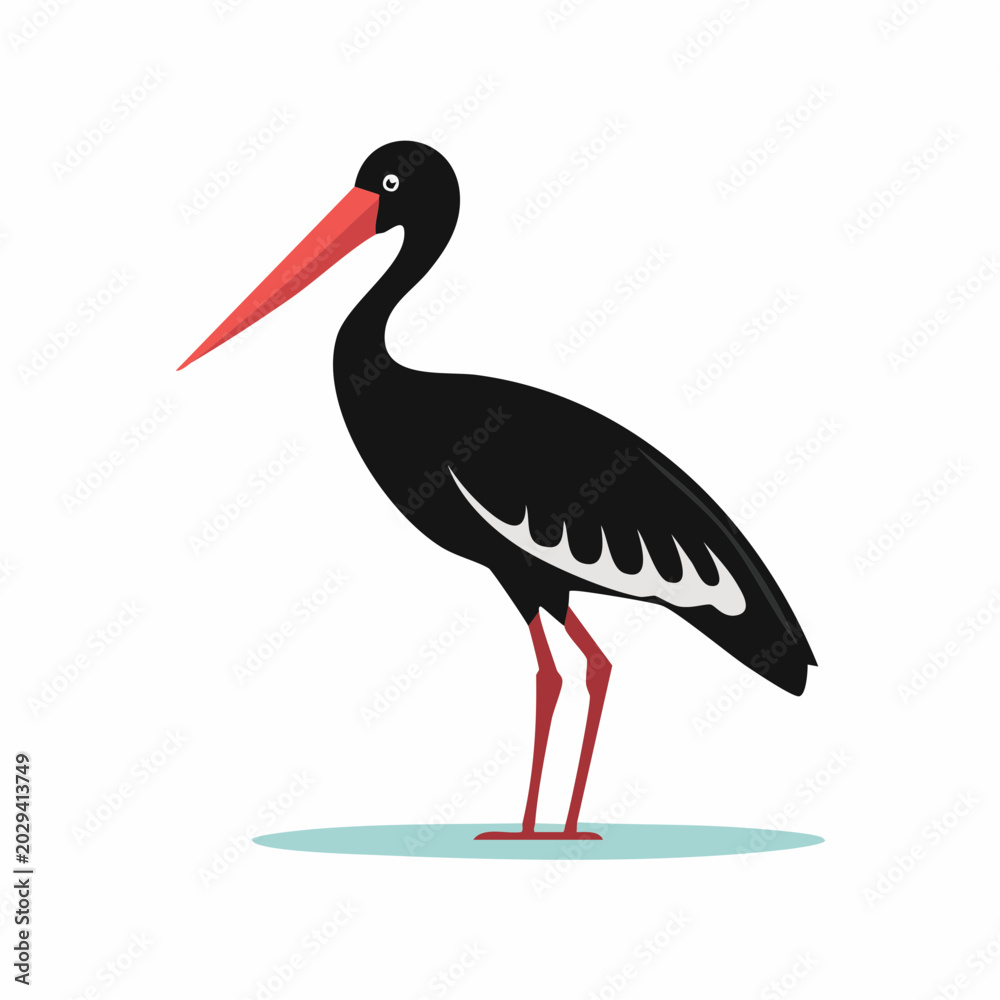 Fototapeta premium Illustration of a Black Stork with a red beak and legs
