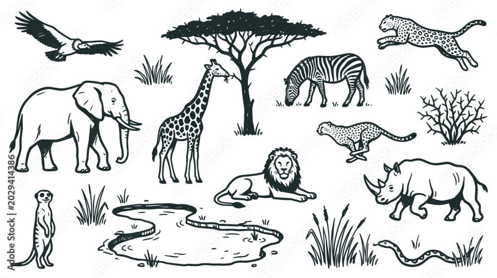 Obraz premium Various black and white safari animals and plants are depicted in a hand-drawn style, showcasing diverse wildlife