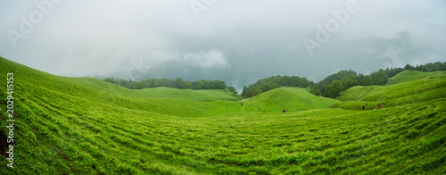 Fotografie Panoramic view of lush green alpine meadows under misty clouds in Ali Bedni Bugy