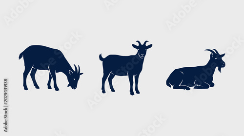 Bild auf Leinwand Silhouette of goats with horns in various poses grazing and resting