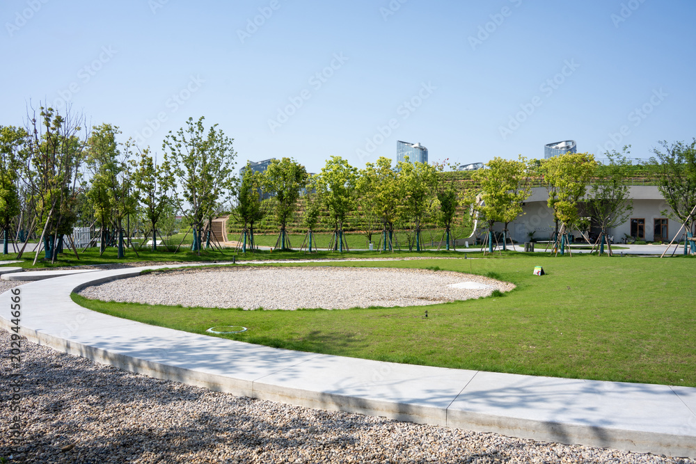 Fototapeta premium scenic view of a park with green lawn and curved pathway surrounded by trees