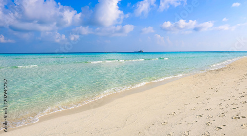 The background for summer vacation concept with the nature of clear water  sea beach and  summer with sunlight, sandy beach as The sparkling sea water contrasts with the blue sky