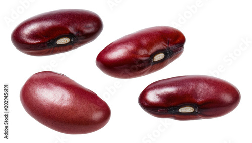 Εκτύπωση καμβά Four dark red kidney beans with visible hilum