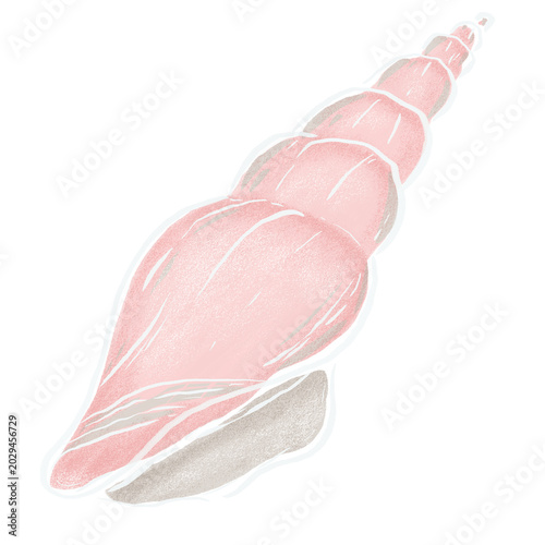 Pastel Pink Conch Seashell Isolated PNG Clipart on Transparent Background